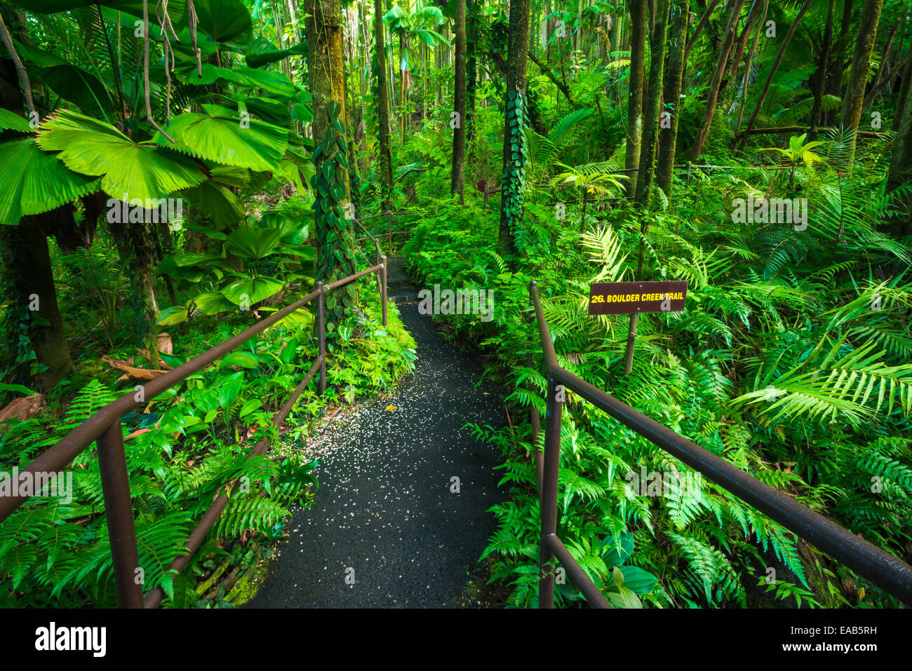 Jungle trail at Hawaii Tropical Botanical Garden, Hamakua Coast, The