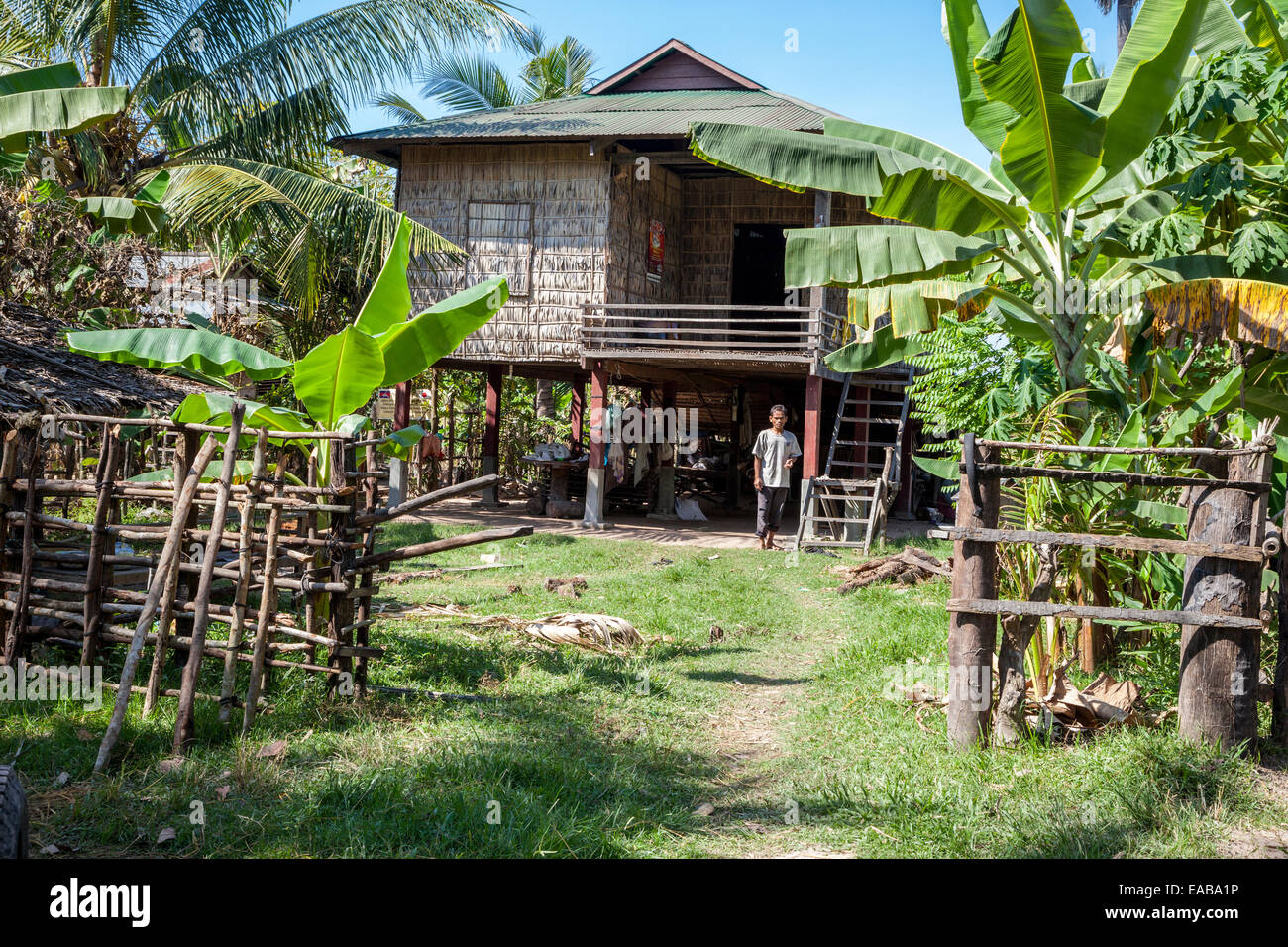 Cambodia. Typical Rural House, with Living Quarters above the Ground