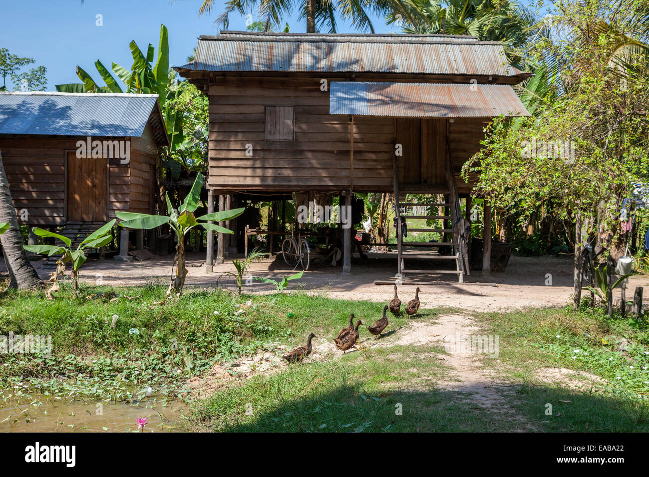 Cambodia. Typical Rural House, with Living Quarters above the Groundlevel Storage Area Stock
