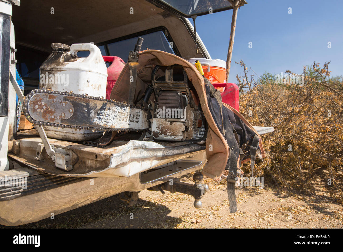 Almond groves being chopped down as there is no longer water available to irrigate them, in Wasco in the Central Valley of Calif Stock Photo