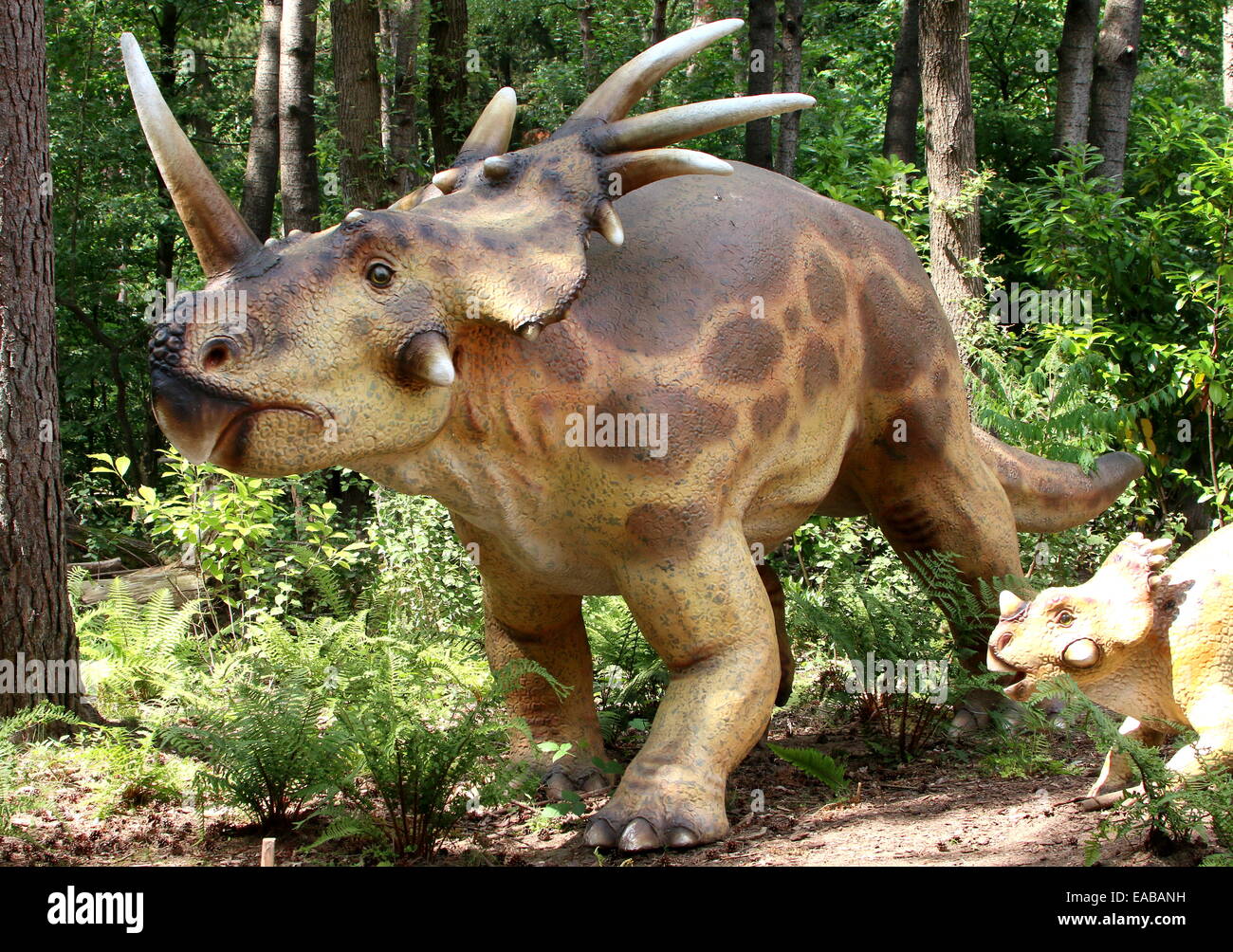 Styracosaurus (spiked lizard) dinosaur with young, Cretaceous era Lifelike dino statues at  Dinopark Amersfoort Zoo, Netherlands Stock Photo