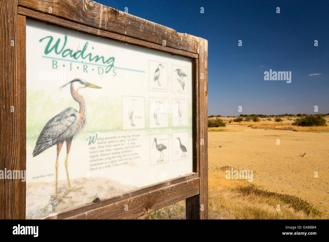 A sign about wading birds in the Kern Valley Wildlife Refuge in California's Central Valley which was created as important resting and feeding grounds for wildfowl migrating along the pacific flyway. After four years of unprecedented drought, the water shortages in California are critical. The reserve has received only 40% of its usual warer, with the result that most of the lake beds are dried up and dessicated, leaving the birds nowhere to go. Stock Photo