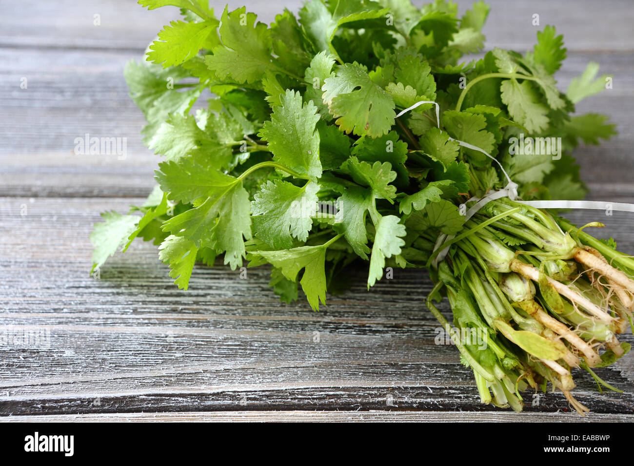 Green cilantro on a wooden boards, food close-up Stock Photo