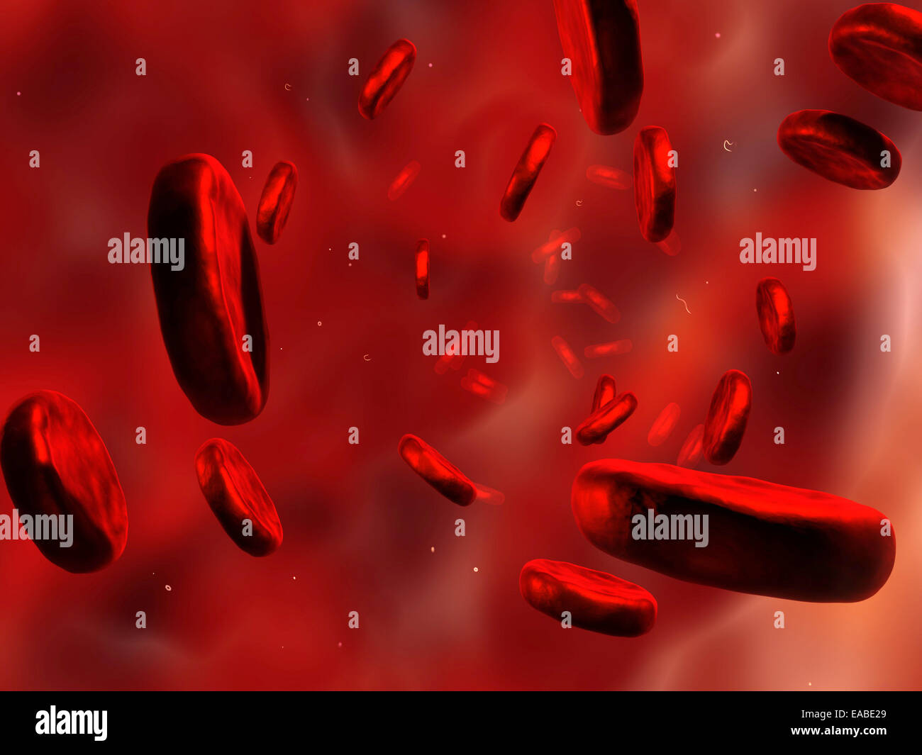 Red blood cells. Stock Photo