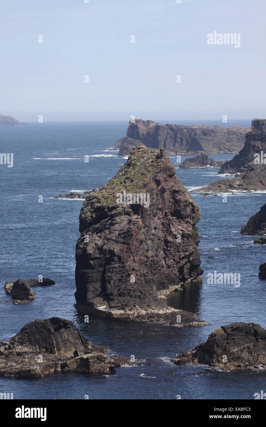 Sea stack Eshaness Northmavine Shetland Scotland  June 2014 Stock Photo
