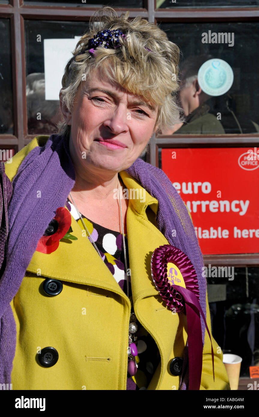 Caroline Stephens - UKIP Prospective Parliamentary Candidate for Stroud, campaigning for Mark Reckless in Cuxton, Rochester 2014 Stock Photo