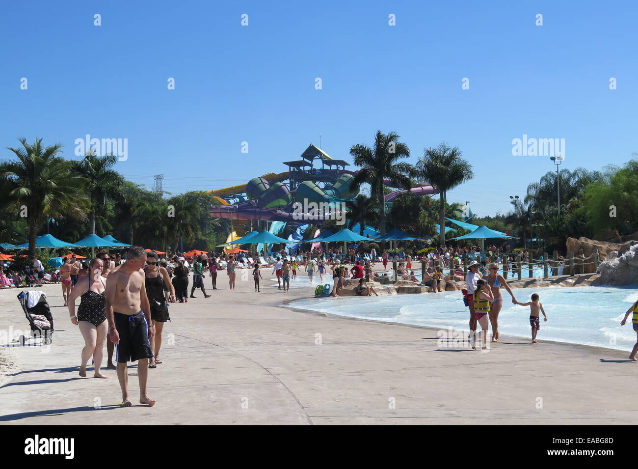 Aquatica Seaworld Stock Photo