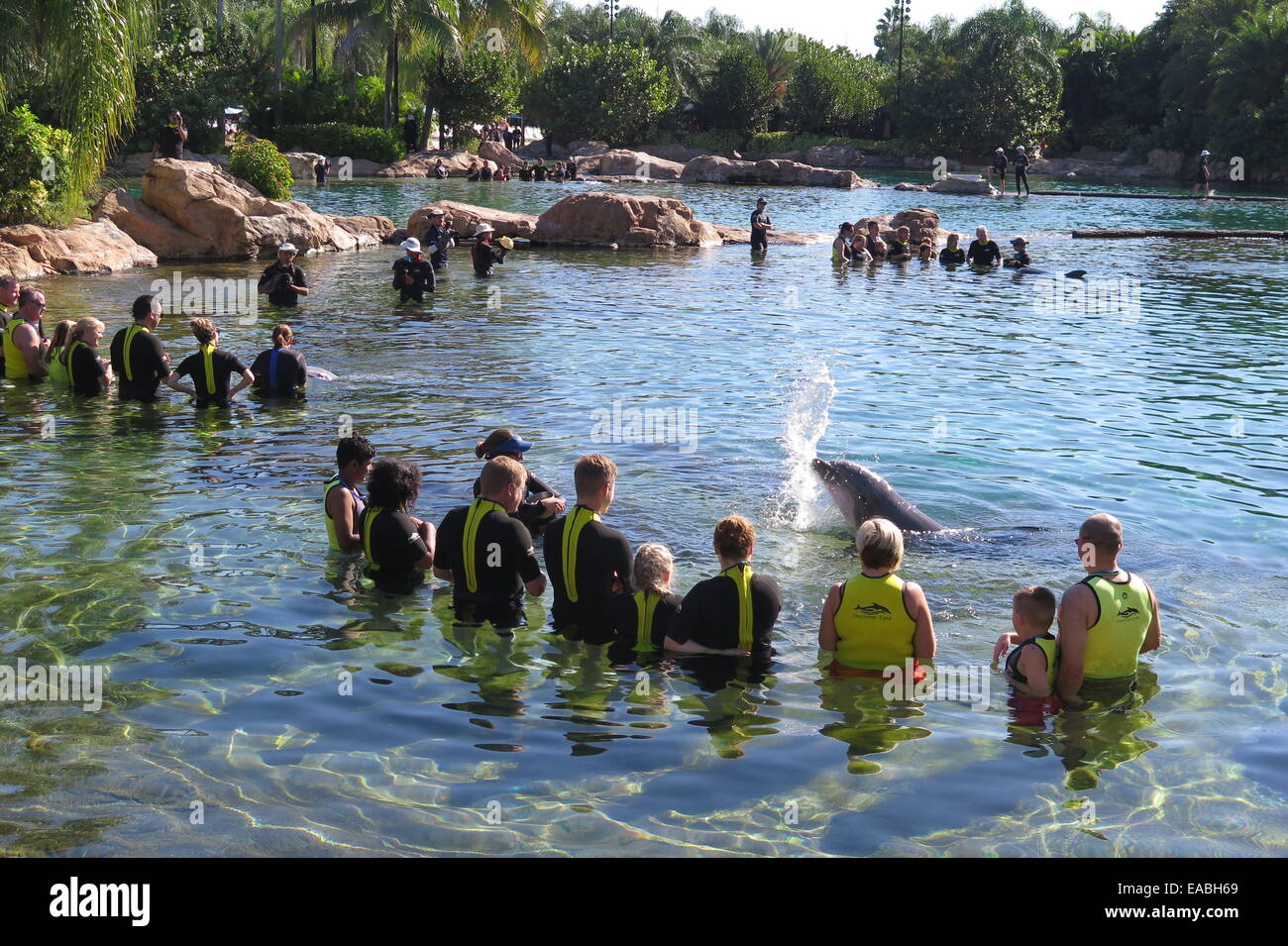 Discovery Cove Seaworld Orlando Florida Stock Photo