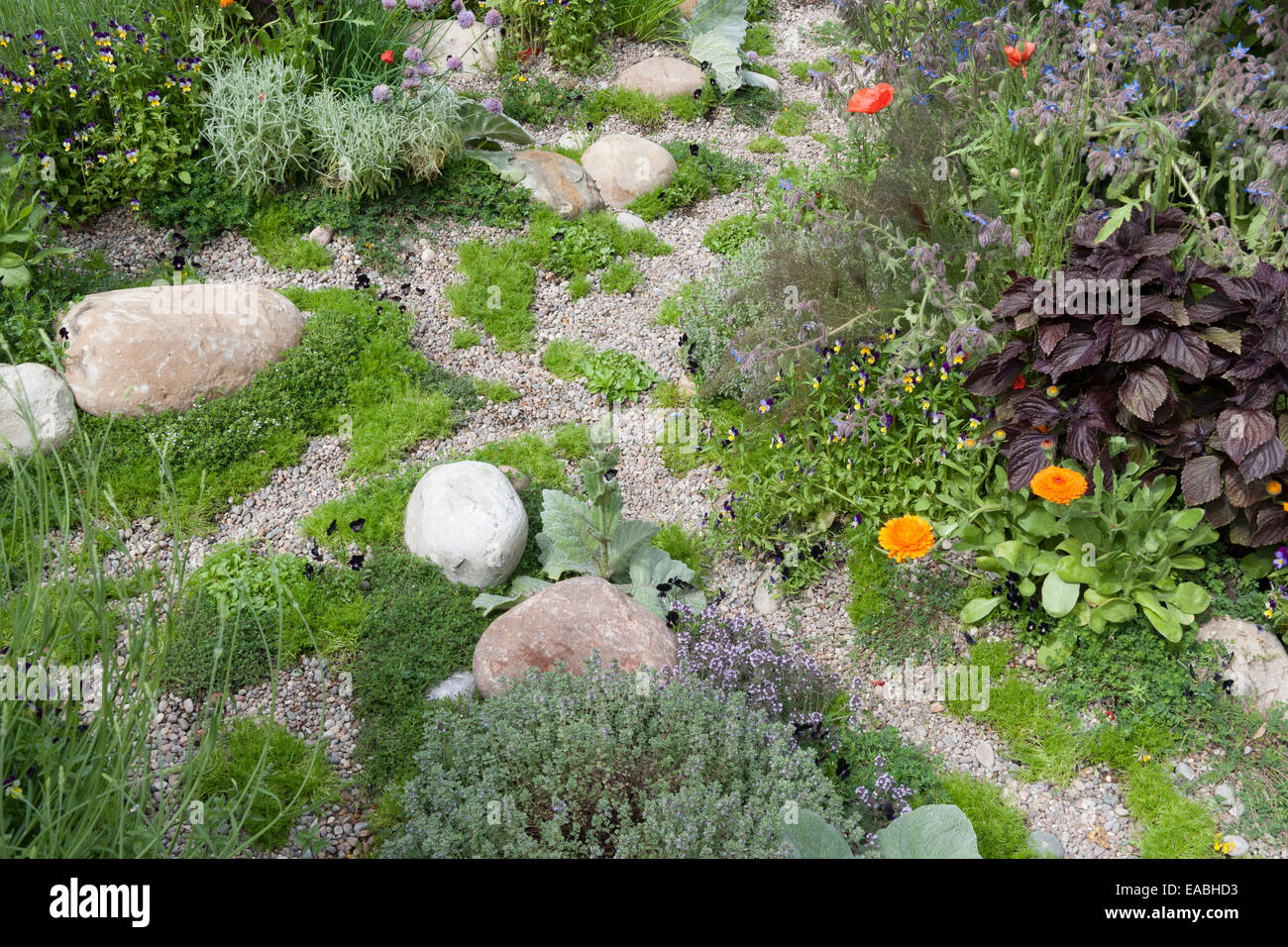 Chelsea flower show 2011 hi-res stock photography and images - Alamy