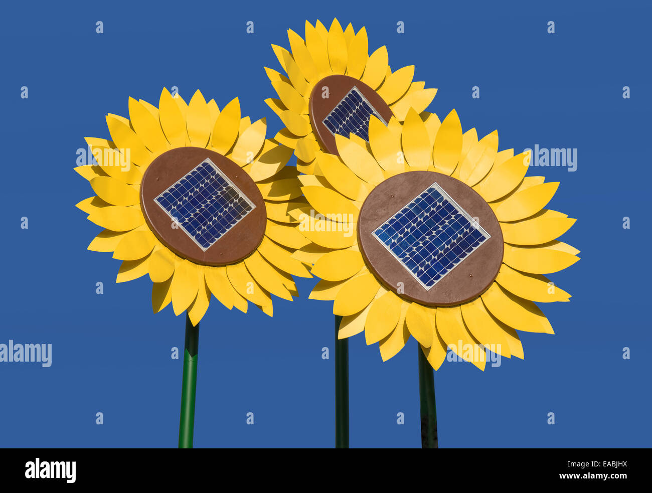 Sunflowers with solar cells Stock Photo
