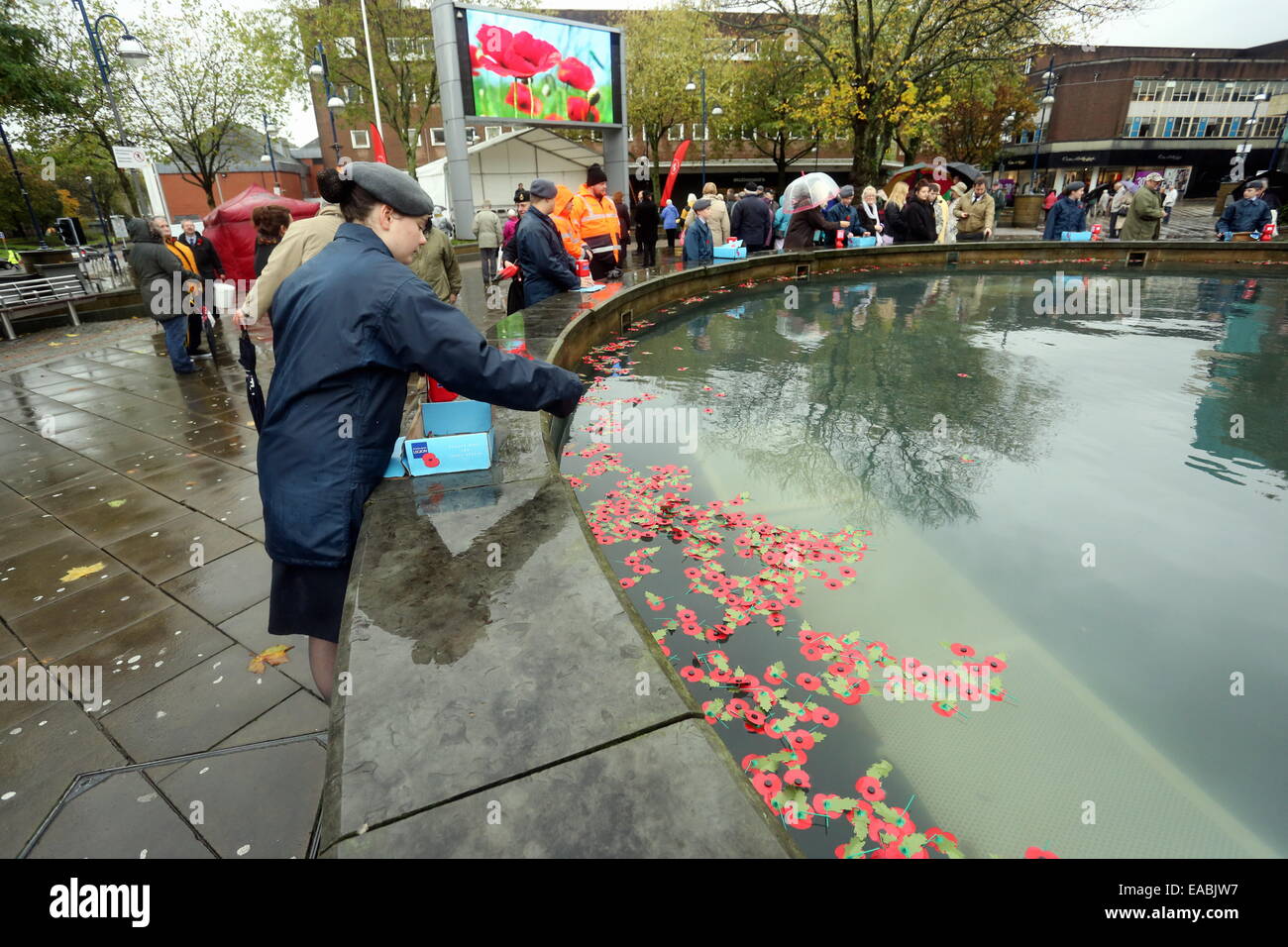 Swansea UK. Tuesday 11 November 2014  Pictured: A young female cadet throws poppies into the fountain.  Re: Armistice Day observed at Castle Square Gardens, Swansea south Wales, UK Credit:  D Legakis/Alamy Live News Stock Photo