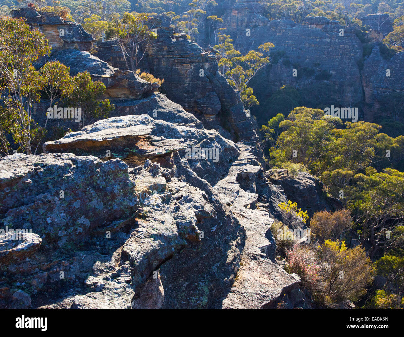 View of bushland and rugged sandstone gorges in Blue Mountains National Park, NSW, Australia Stock Photo