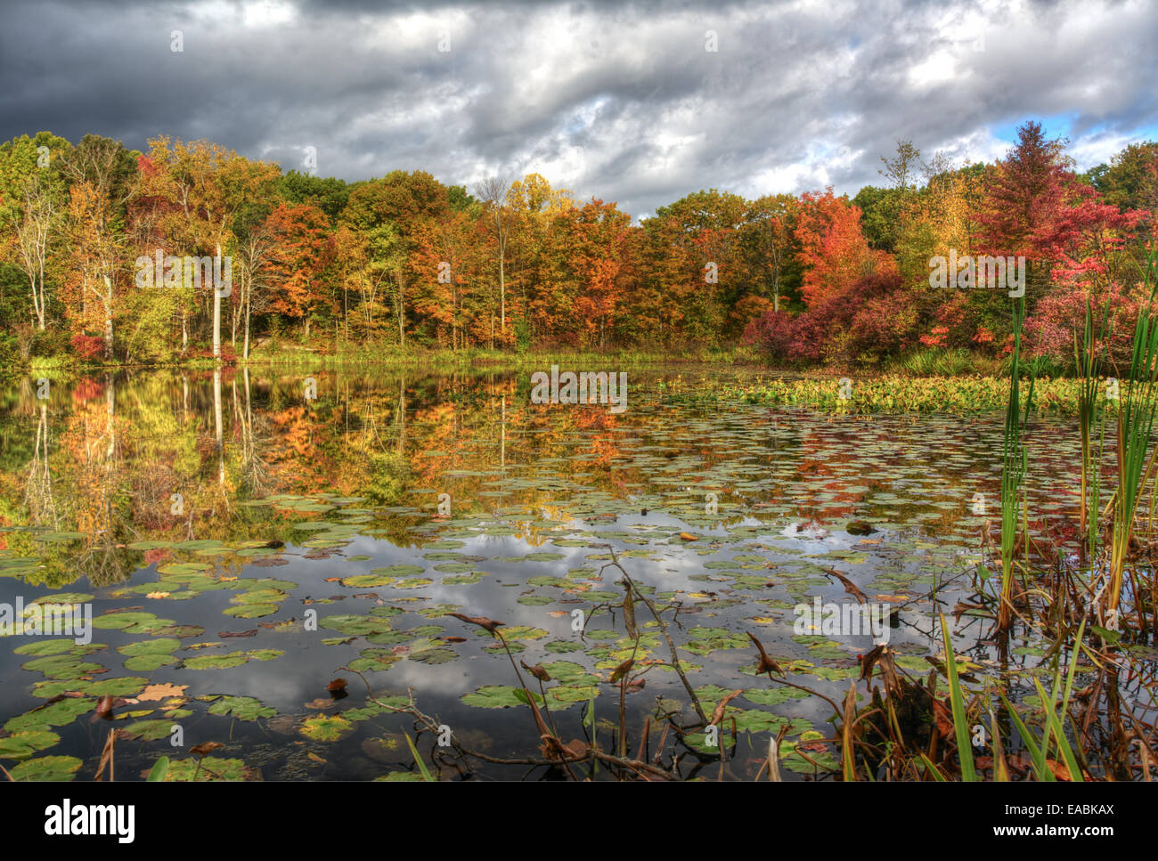 Foster Pond at the Holden Arboretum in Kirtland, Ohio Stock Photo Alamy