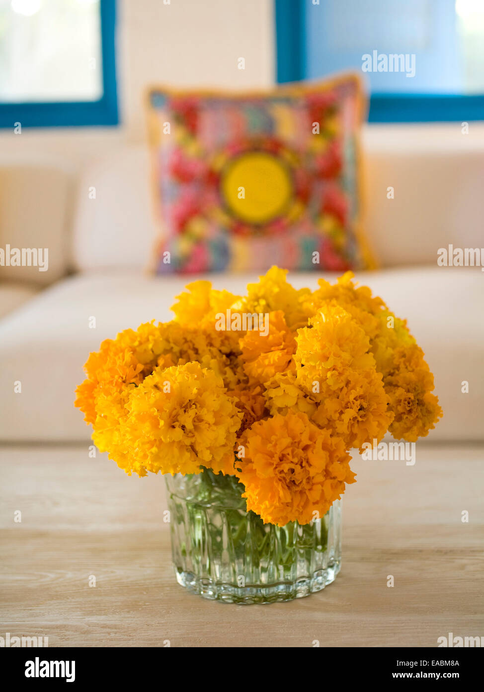 a vase of marigolds in Latin American domestic setting Stock Photo Alamy