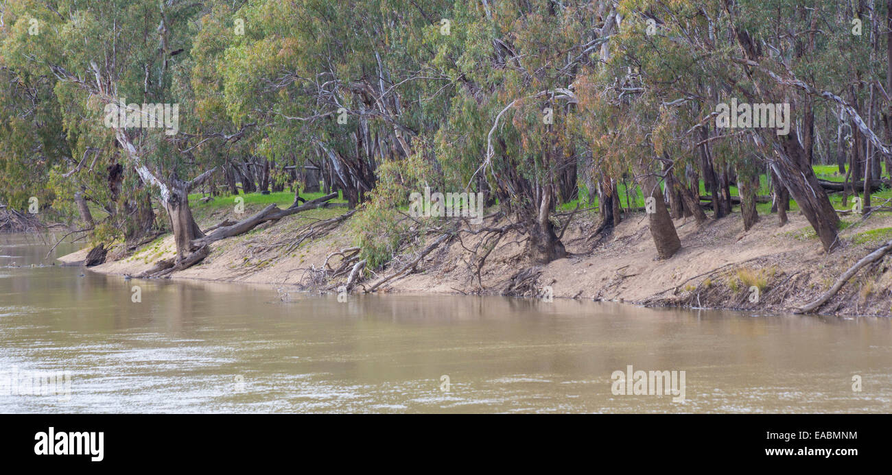 Murrumbidgee valley national park hires stock photography and images