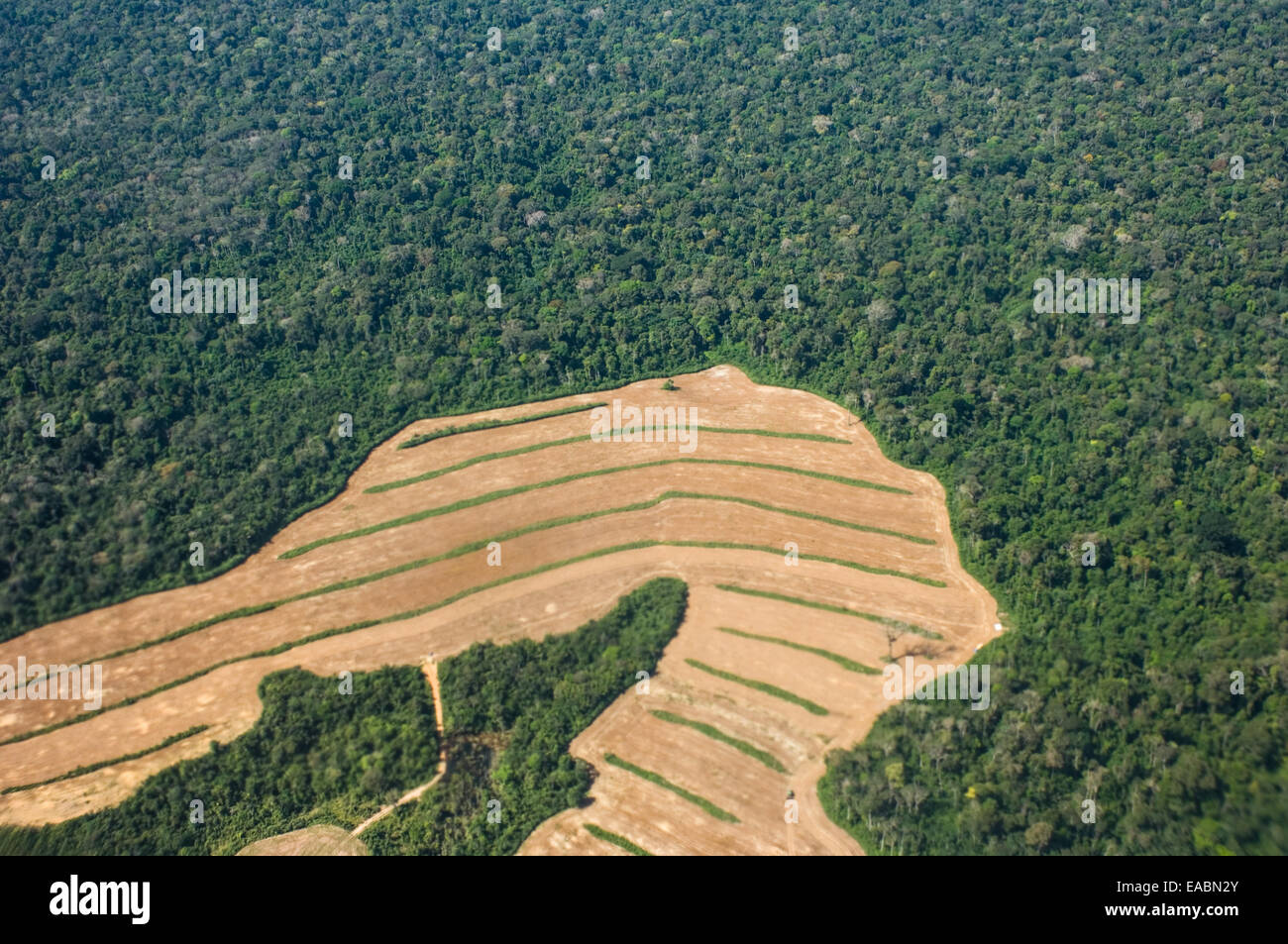 Para State, Brazil. Newly cleared land for growing soya in area of