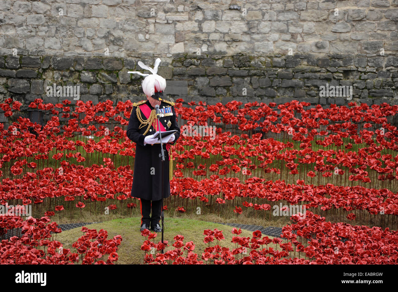 London, UK. 11th November, 2014. On Armistice Day at the Tower of London, the last ceramic poppy of the 888,246 comprising the 'Paul Cummins' art installation 'Blood Swept  Lands and Sea of Red is planted by a young cadet.  Each poppy represents a British or Colonial military fatality during World War One.  Pictured: the final Roll of Honour is read out by General the Lord Dannatt, Constable of the Tower of London. Credit:  Stephen Chung/Alamy Live News Stock Photo