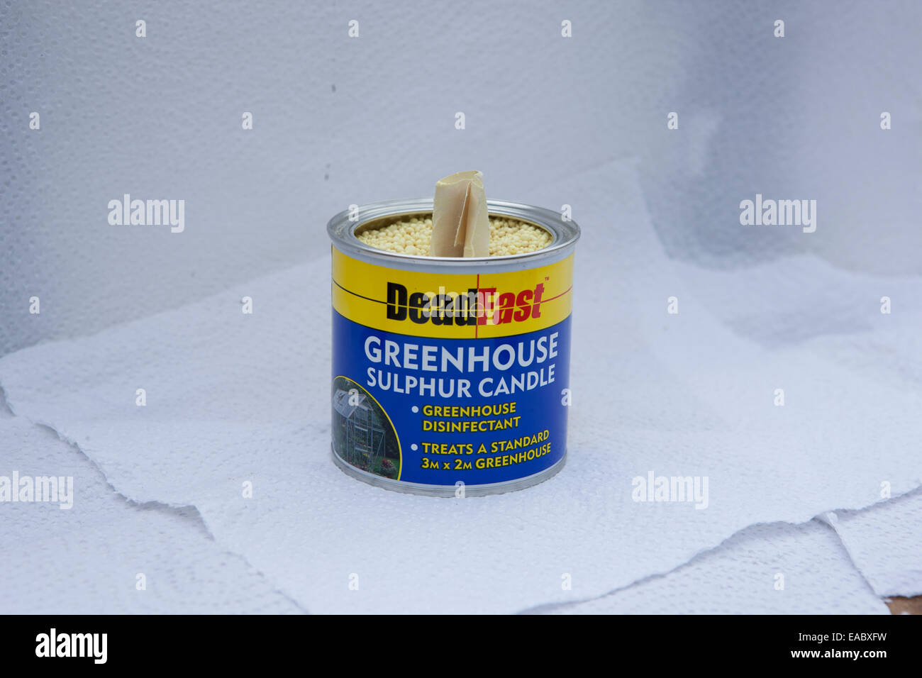 Cleaning Greenhouse Plants Uk Hi res Stock Photography And Images Alamy