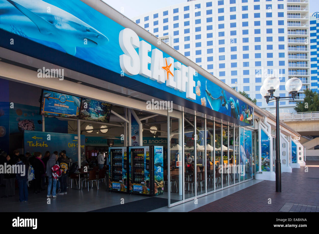 Family-Friendly Attractions