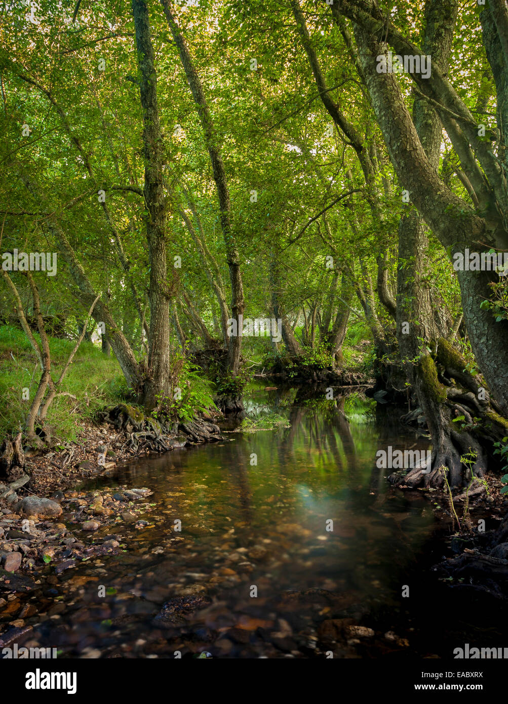 river villarino, zamora, spain Stock Photo