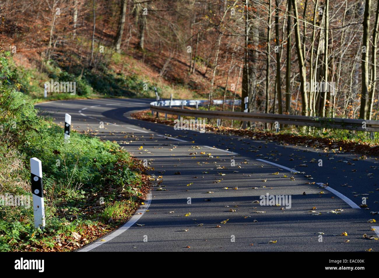 Winding country road in an autumn forest, Germany, 11. November 2014. Photo: Frank May Stock Photo