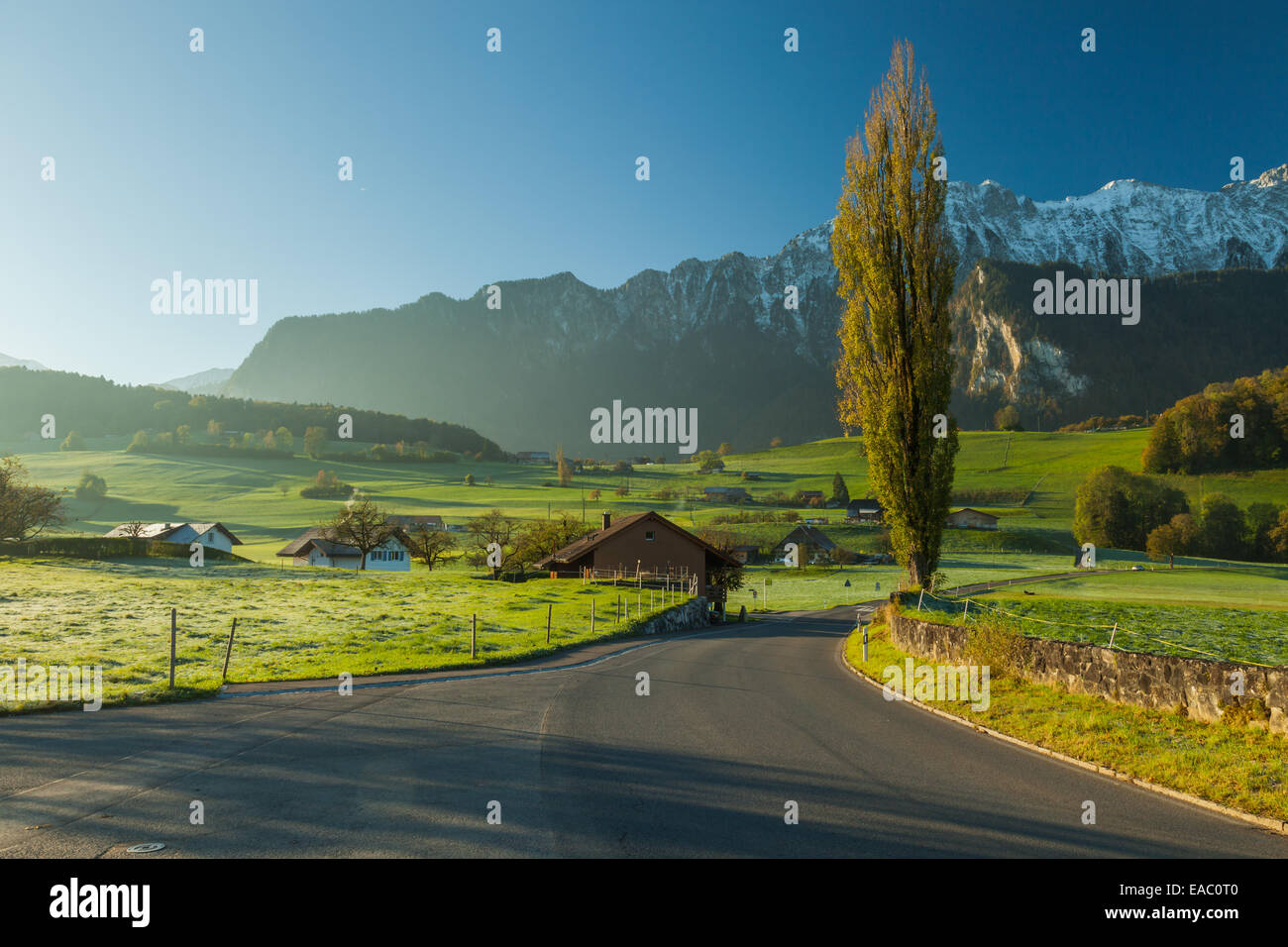Road in the alpine valley hi-res stock photography and images - Alamy