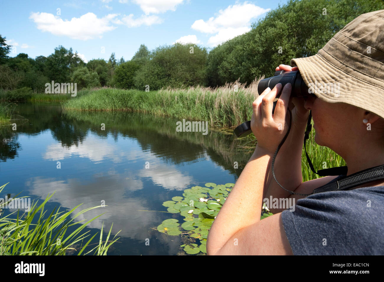 Woman birdwatching Barnes London UK Stock Photo