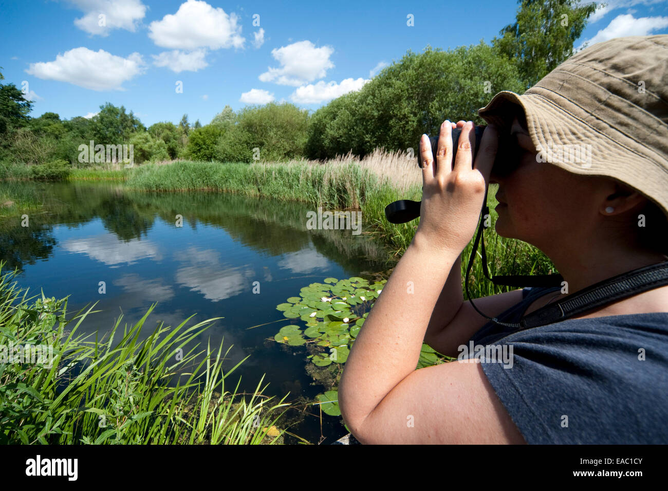 Woman birdwatching Barnes London UK Stock Photo