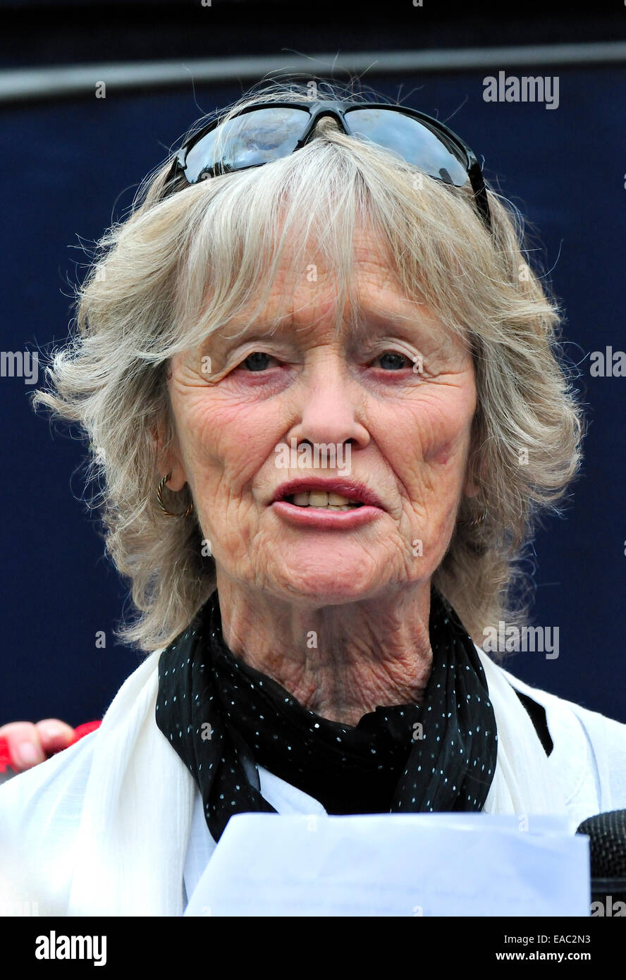 Instagram Virginia McKenna (born 1931) naked photo 2017 butt Virginia McKenna (born 1931) naked photo 2017