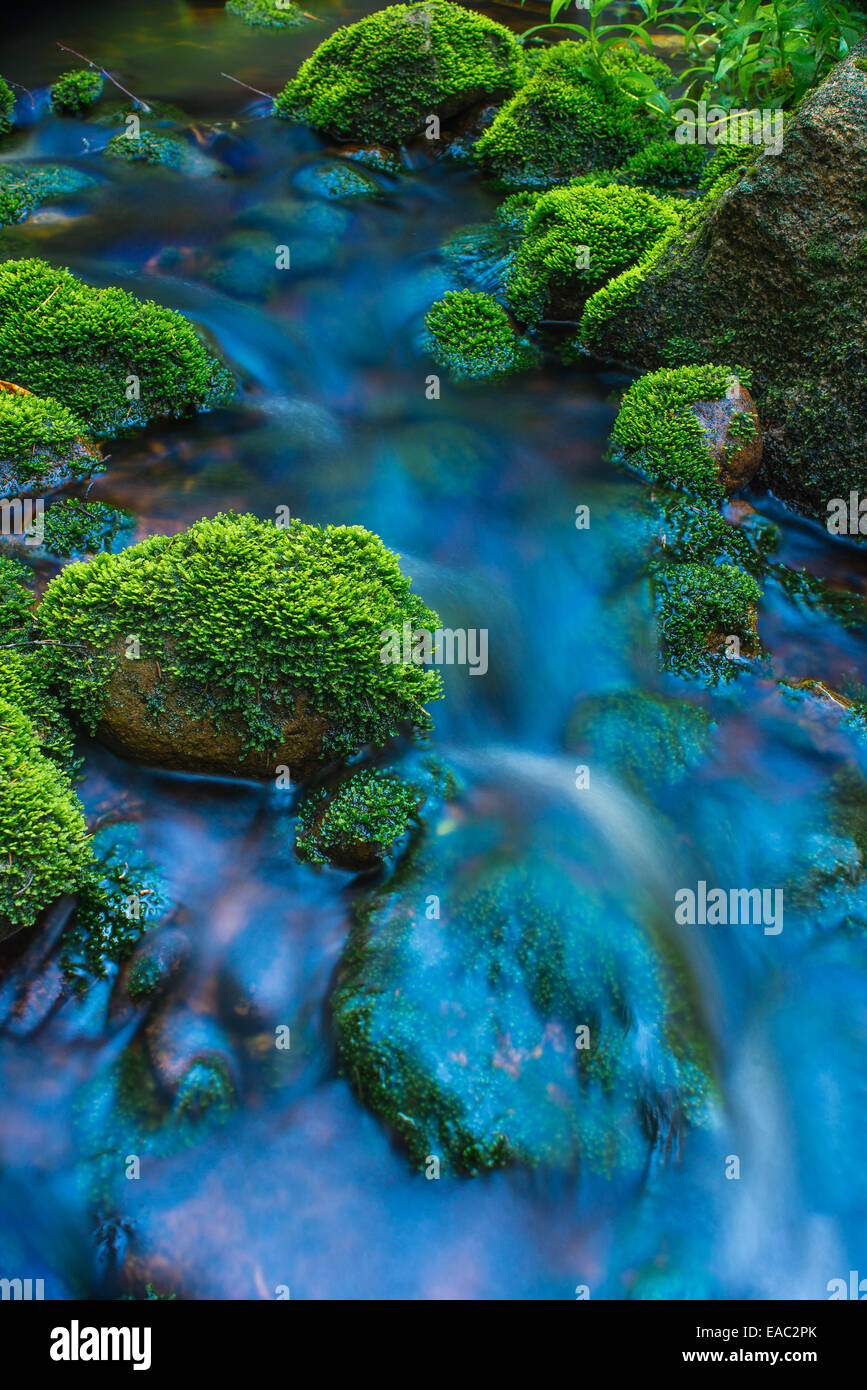 Mossy rocks in flowing water Stock Photo