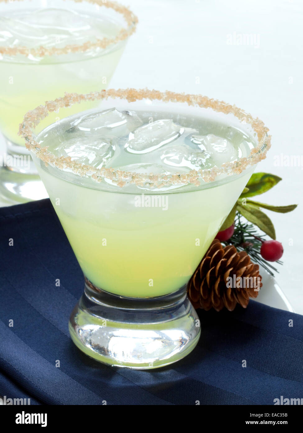 Citrus Holiday Cocktail Stock Photo