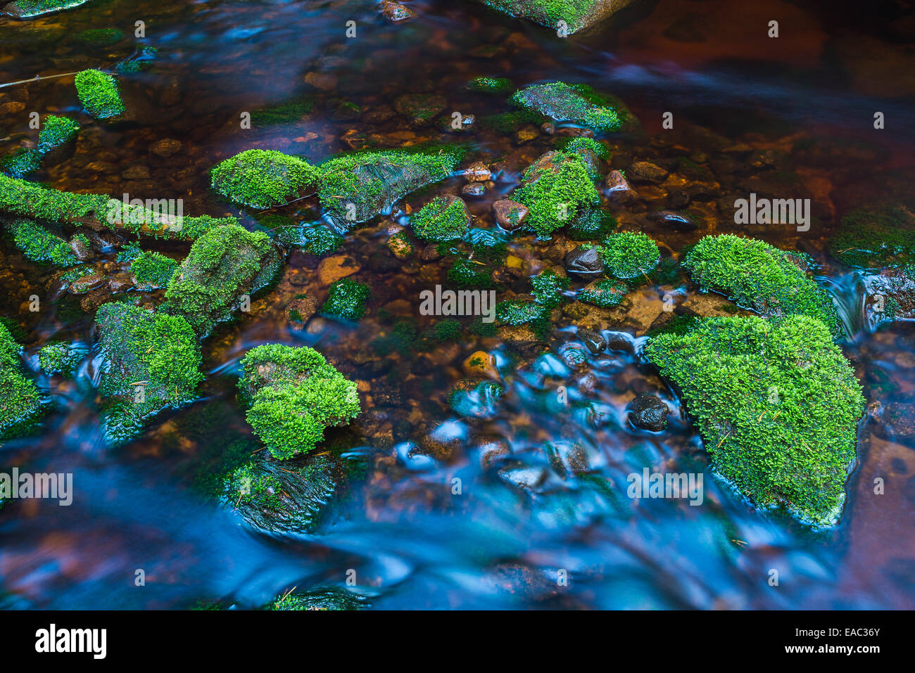 Mossy rocks on flowing water Stock Photo