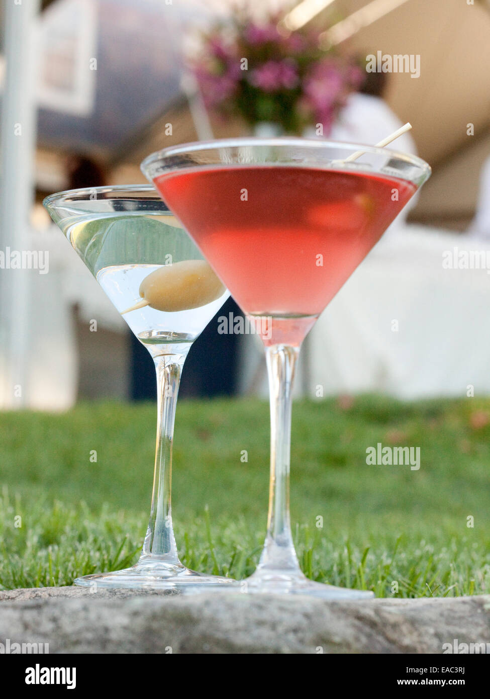 Cosmopolitan and Martini on lawn during garden cocktail reception Stock