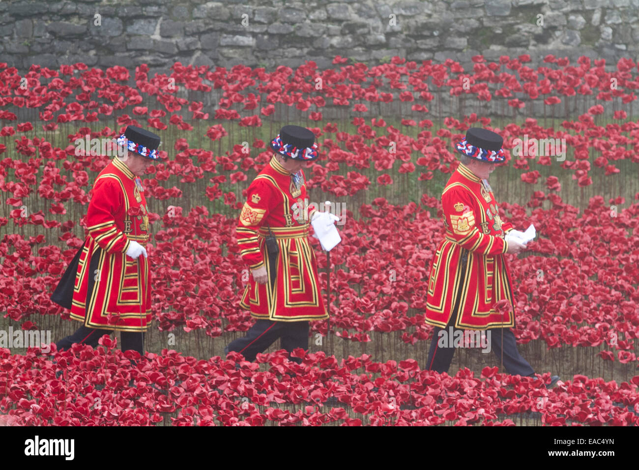 London,UK.11th November 2014. Yeoman Warden Beefeaters walk amidst the installation Blood Swept Lands and Seas of Red on Armistice Day when the last red poppy was planted by a young army cadet Credit:  amer ghazzal/Alamy Live News Stock Photo