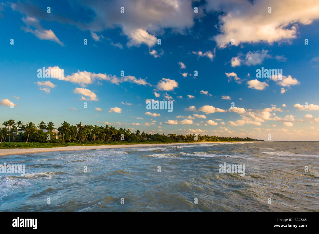 View of the beach from the fishing pier in Naples, Florida. Stock Photo