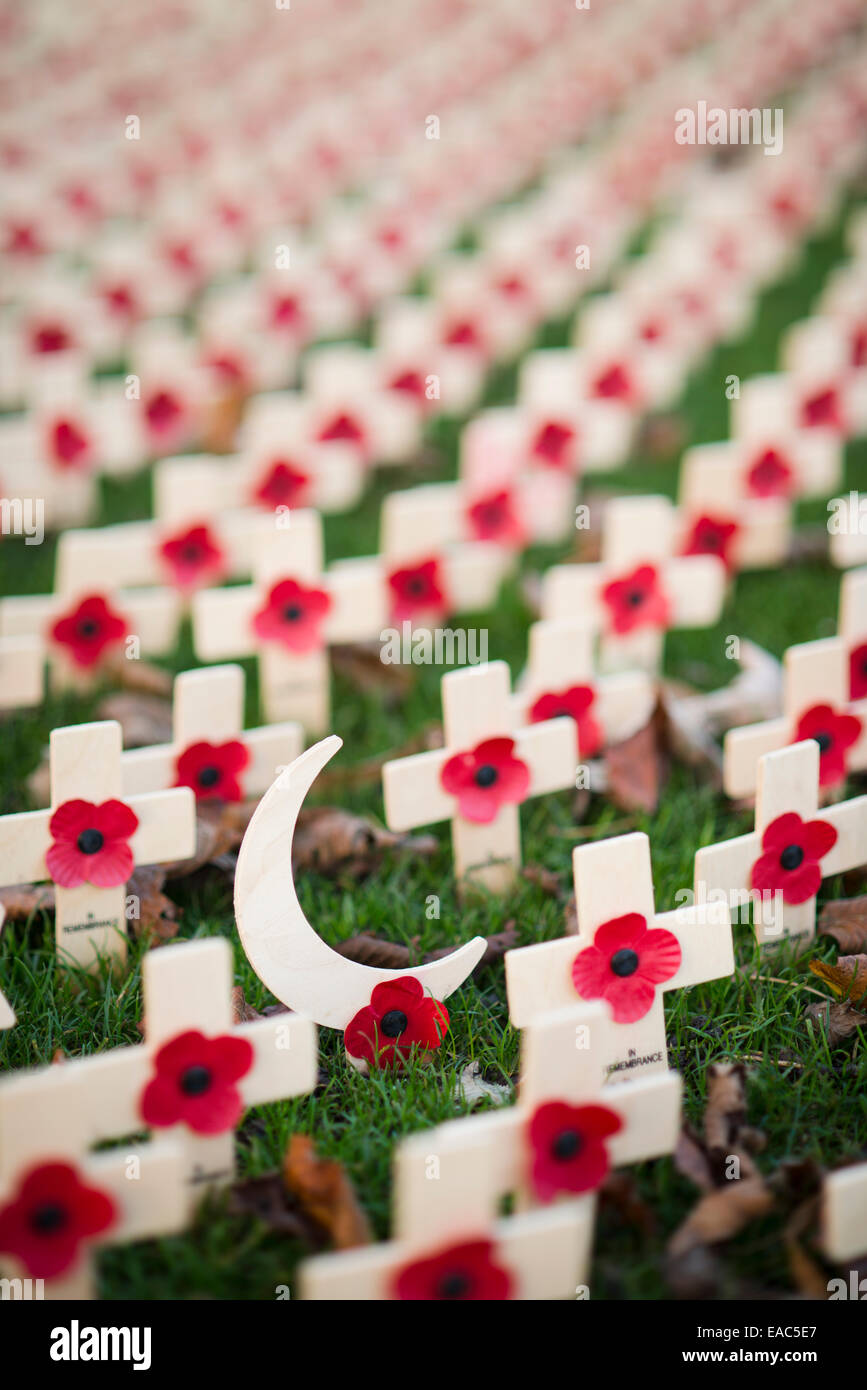 Poppies Remembrance Sunday Stock Photo Alamy Poppies Remembrance Sunday Stock Photo Alamy