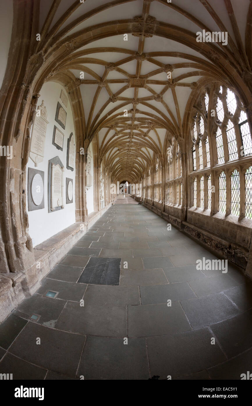 The Cloisters And Vaulted Ceilings At Wells Cathedral Somerset