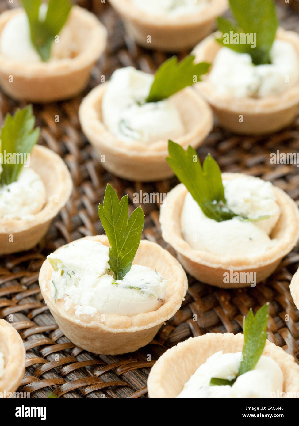 detail of goat cheese hors d'oeuvres with cilantro leaf Stock Photo