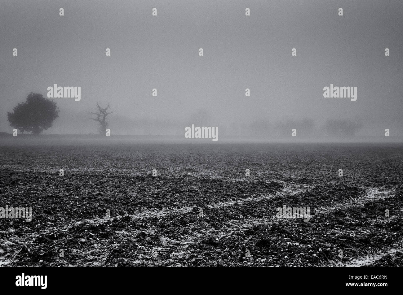 Black and white view across a foggy field at feint trees in the ...