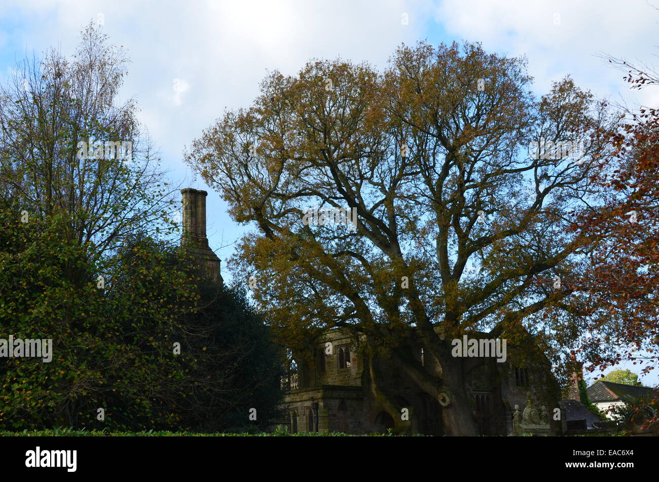 Derelict Manor house in Sussex, England Stock Photo Alamy