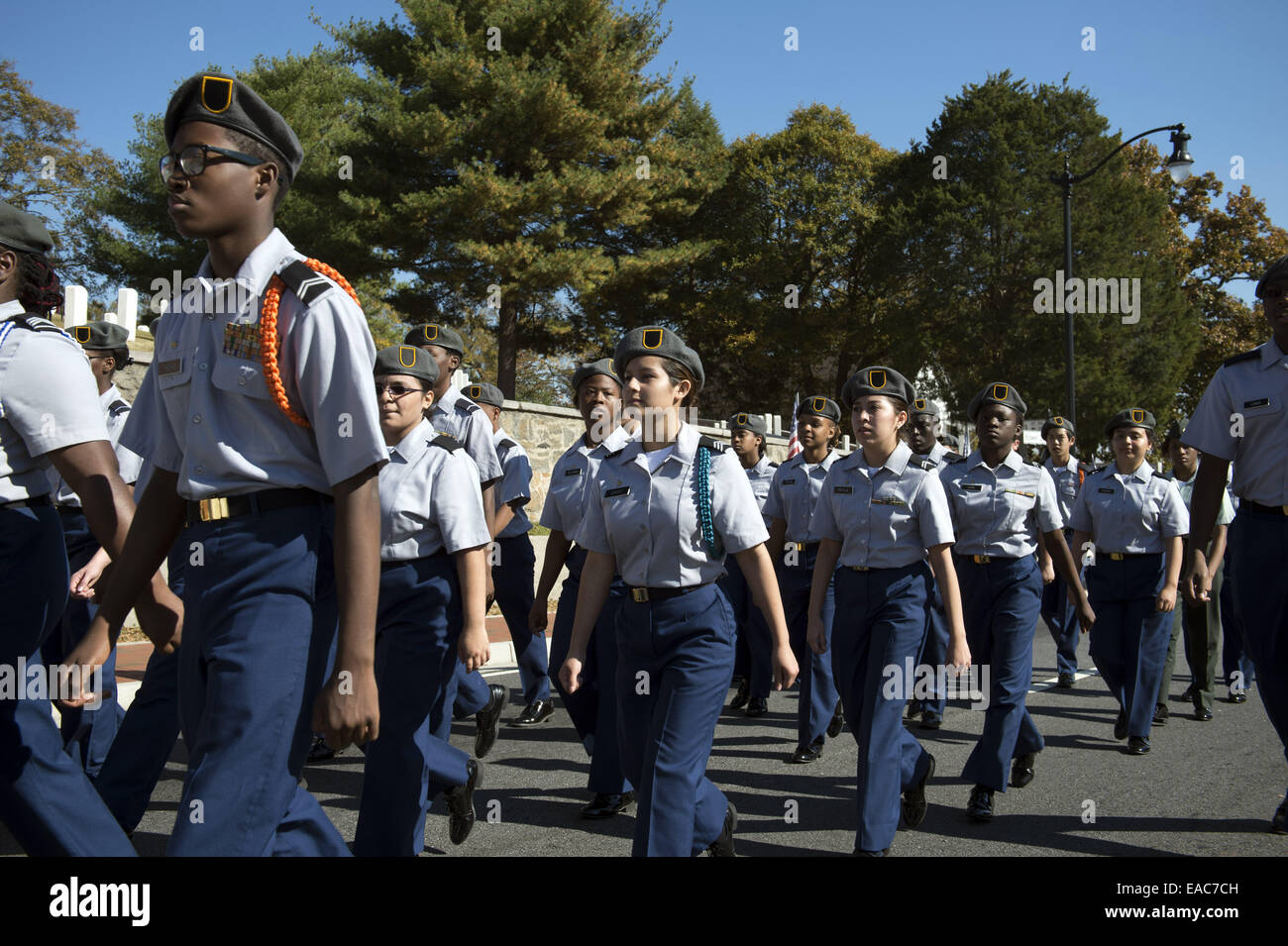 Veterans day printable trivia