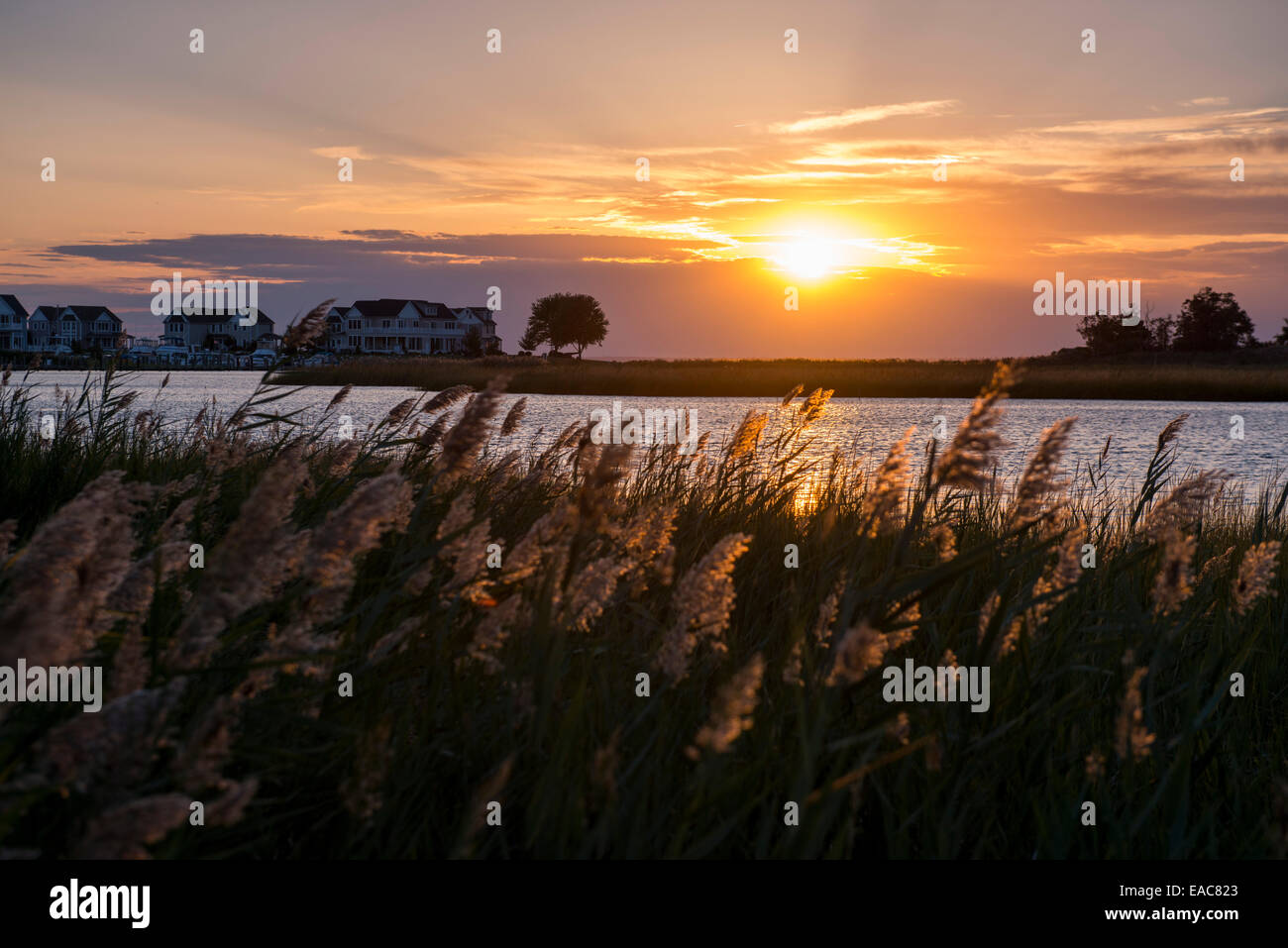 Sunset at Knapps Narrows, Tilghman Island Maryland USA Stock Photo Alamy