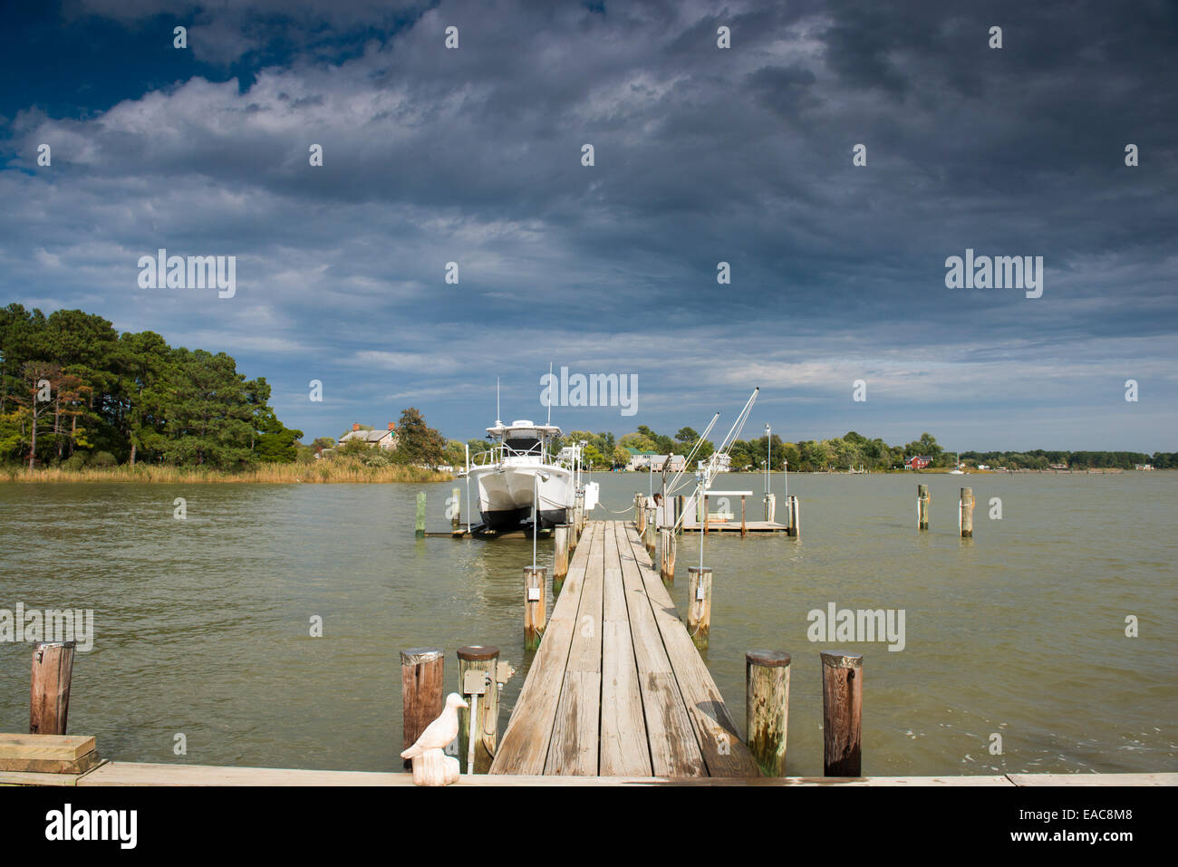 A boat dock at the end of Black Walnut Point Road on Tilghman Island