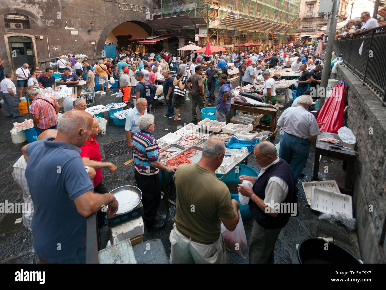 fish market in Catania Sicily Italy Stock Photo Alamy