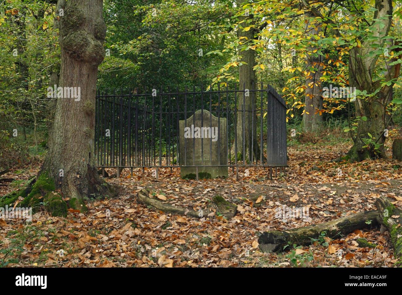 Ecclesall woods, ancient coppiced woodland in Sheffield, Charcoal burners grave memorial Stock Photo