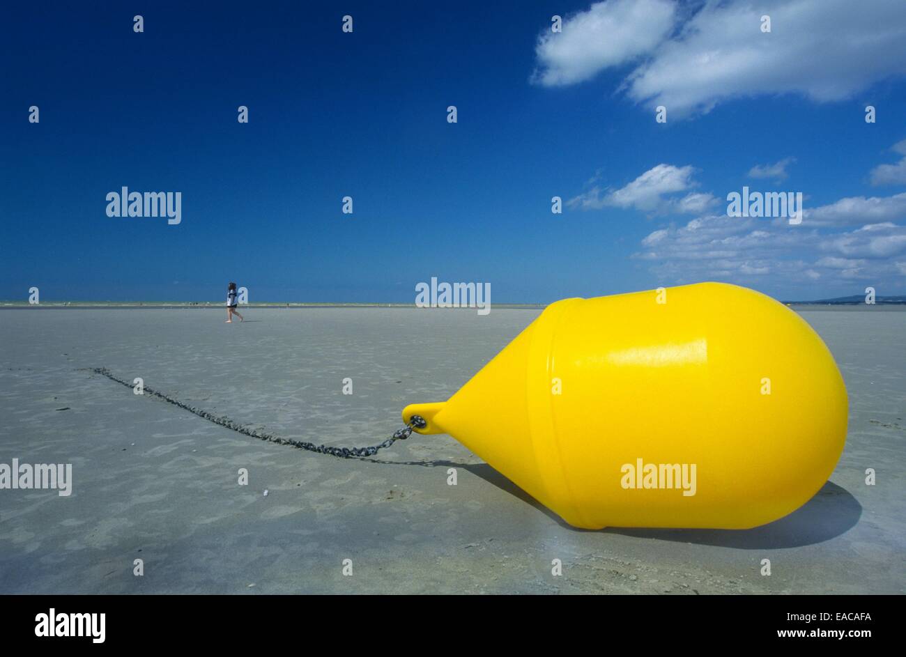 Buoy on low tide, Le Touquet beach, Nord Pas-de-Calais, France, Europe Stock Photo