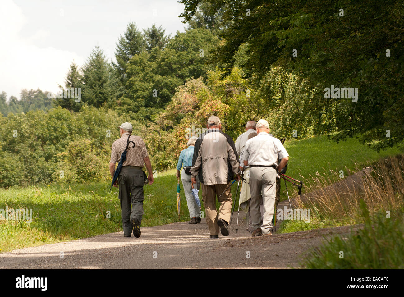 Group of pensioners hiking. old people active in nature Stock Photo