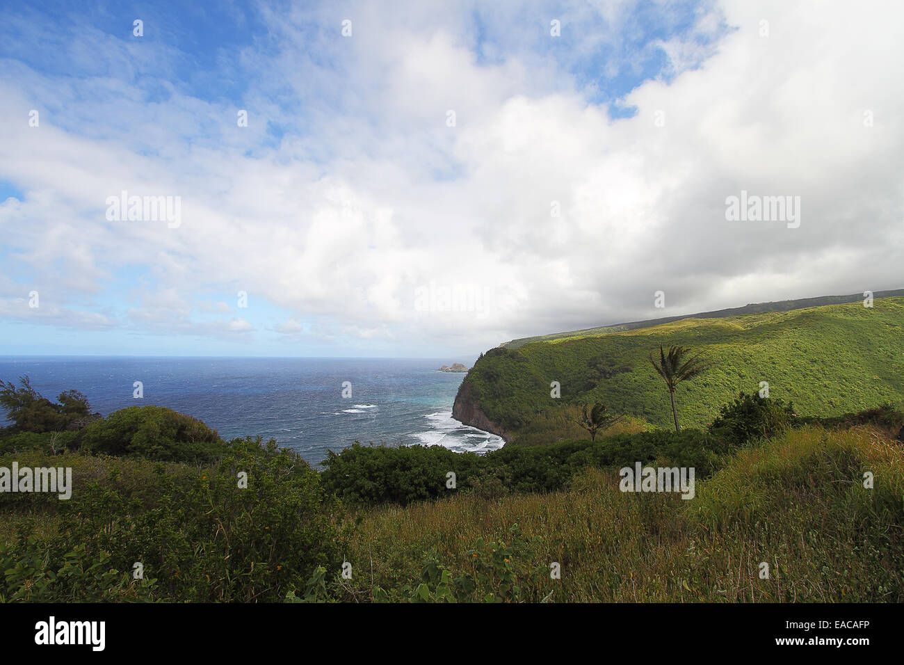 Beautiful views from the Pololu Valley Lookout on the North shore of the big island of Hawaii Stock Photo
