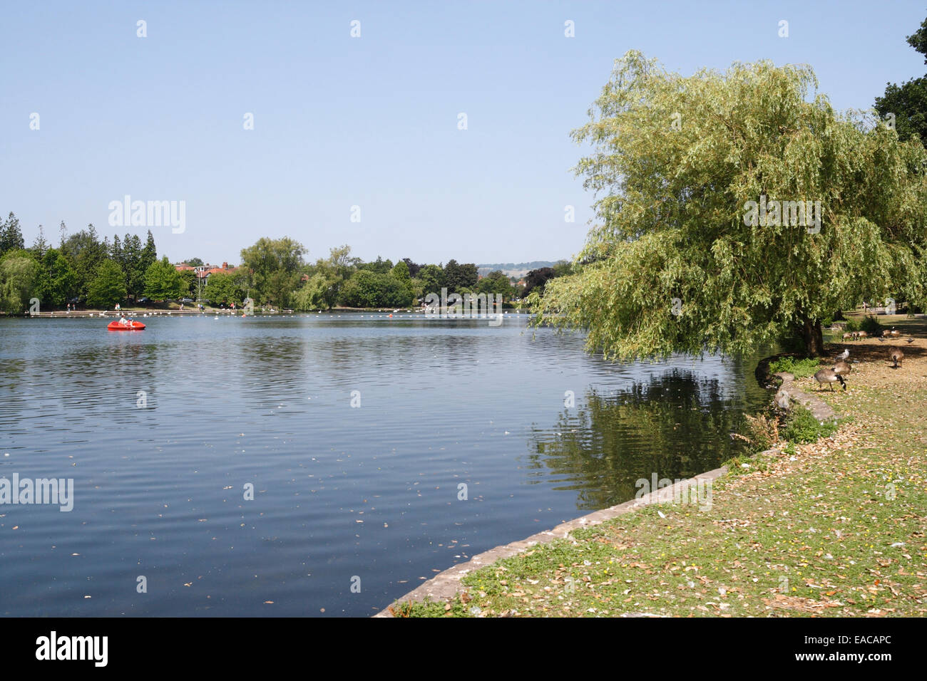 Roath Park lake in Cardiff, Wales Stock Photo