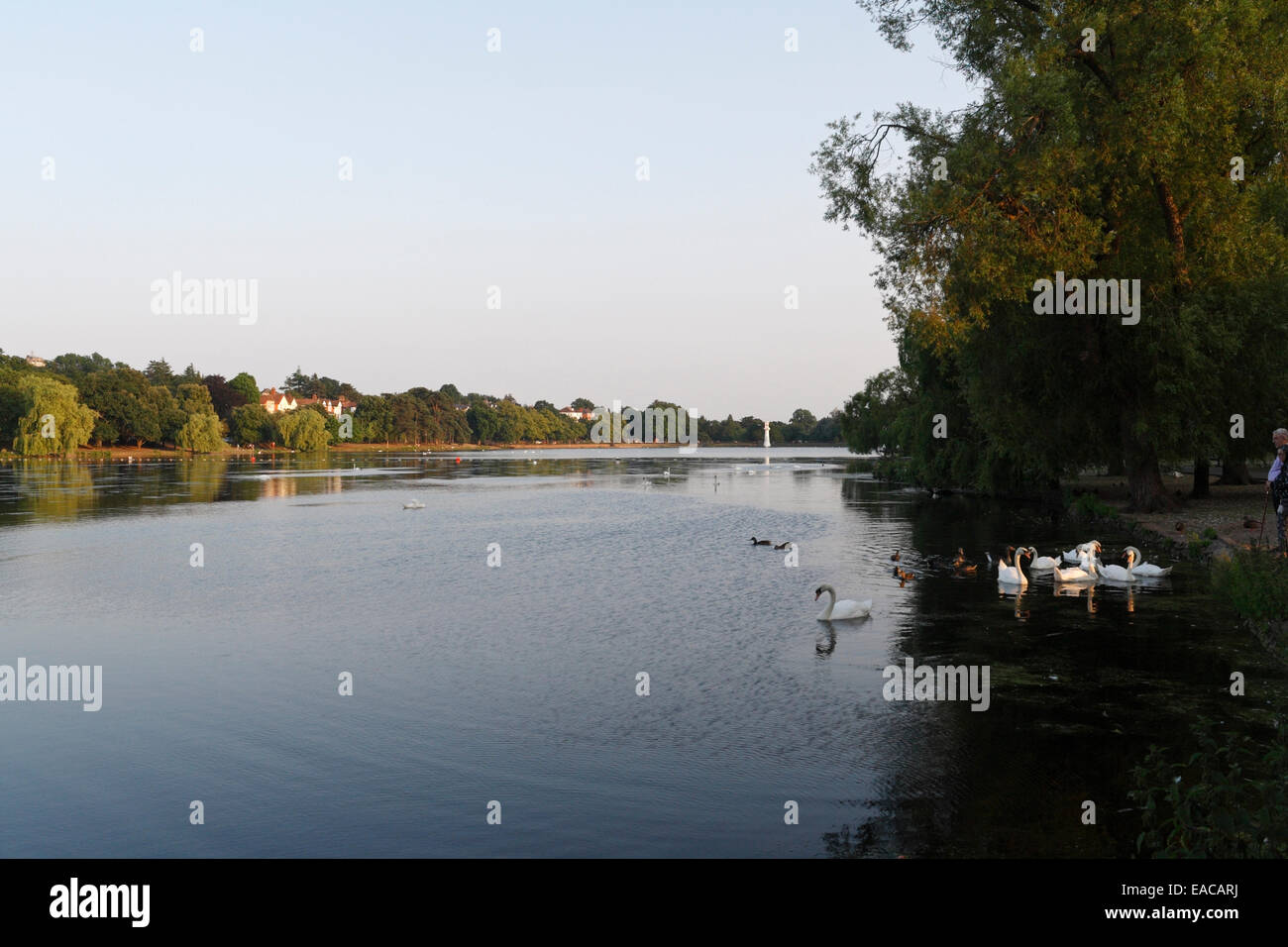 Roath Park lake in Cardiff, Wales Stock Photo